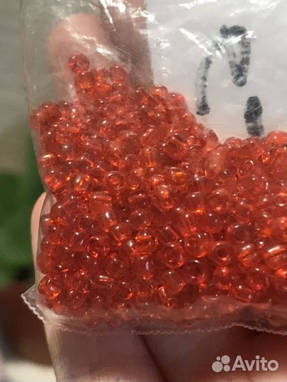 Бисер китайский