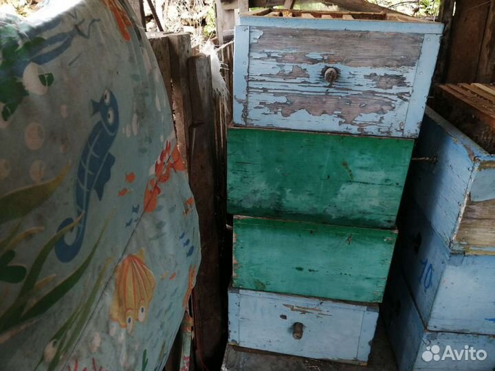 Продам Улья Рута, 10 рамочные