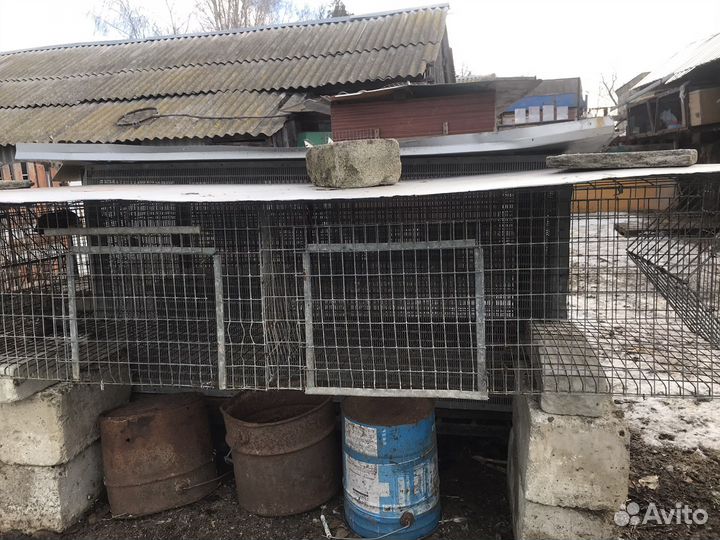 Клетки для кроликов
