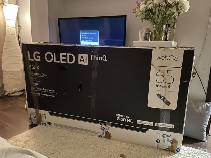 Lg oled 65 cx rla