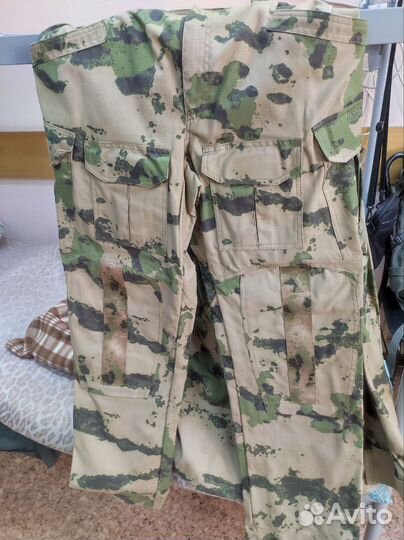 Форма мох летняя