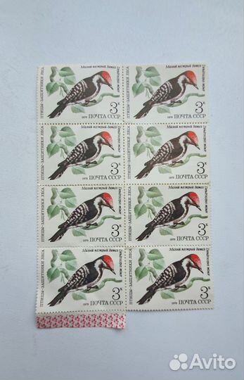 Марки СССР 1979 защитник леса