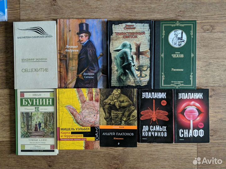 Художественная литература