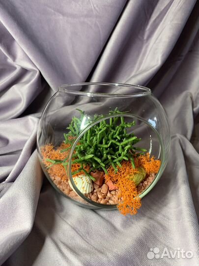 Флорариум с суккулентами