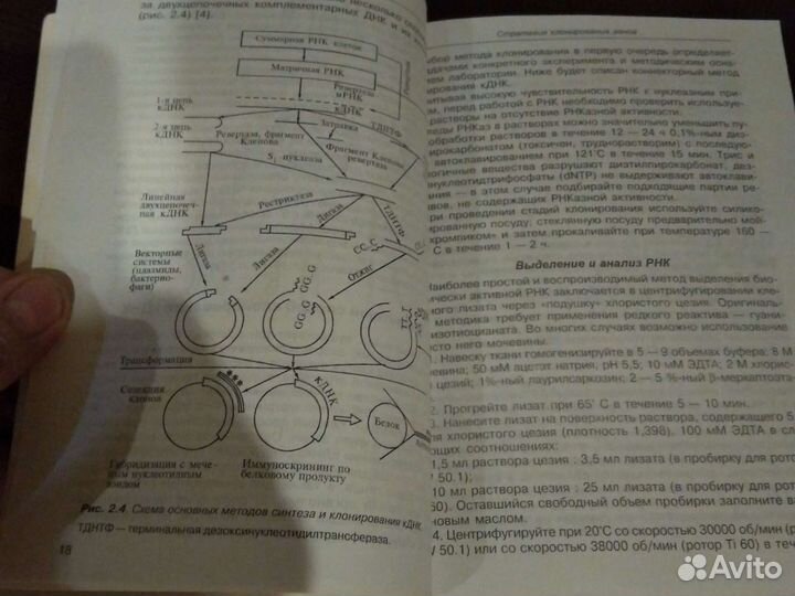 Методы генной инженерии