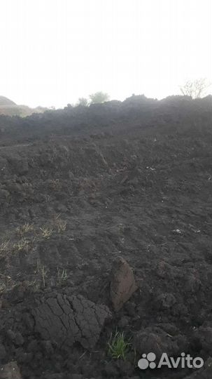 Чернозем и глина