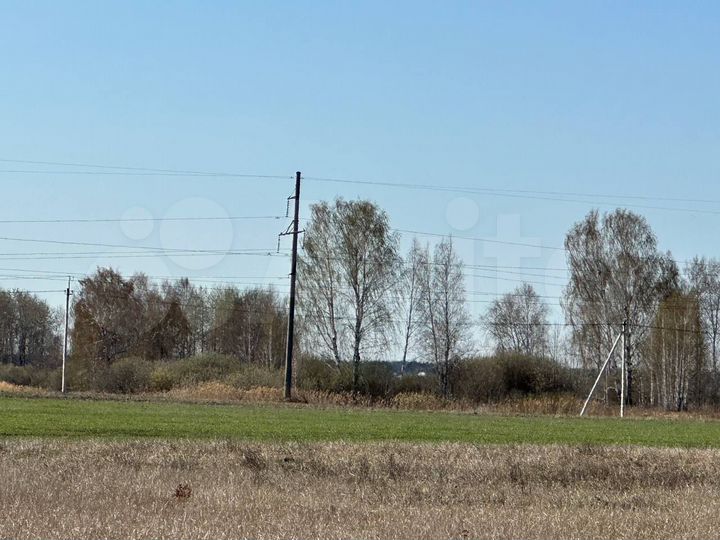 Участок 6 сот. (ИЖС)