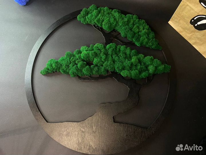 Панно с стабилизированным мхом