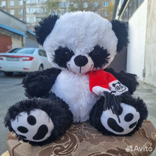 Панда новая
