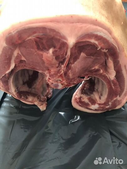 Передок Домашнего Поросенка