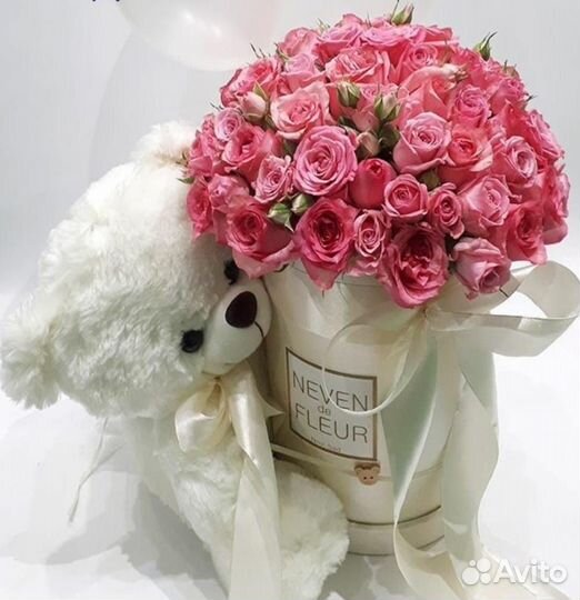 Рассада помидор