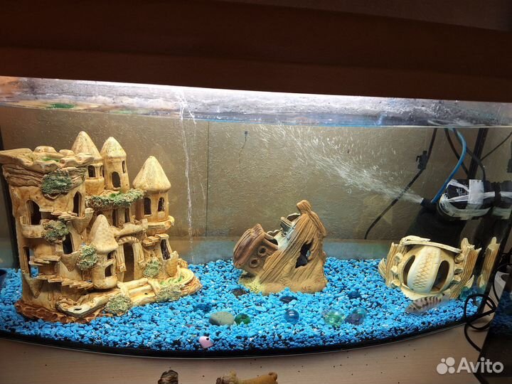 Аквариум с рыбками