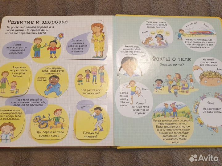 Детские книги. Секреты человека. Книга с окошками