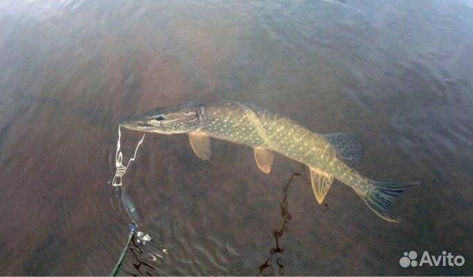 Кукан метал.(трос) С 9-Ю карабинами 