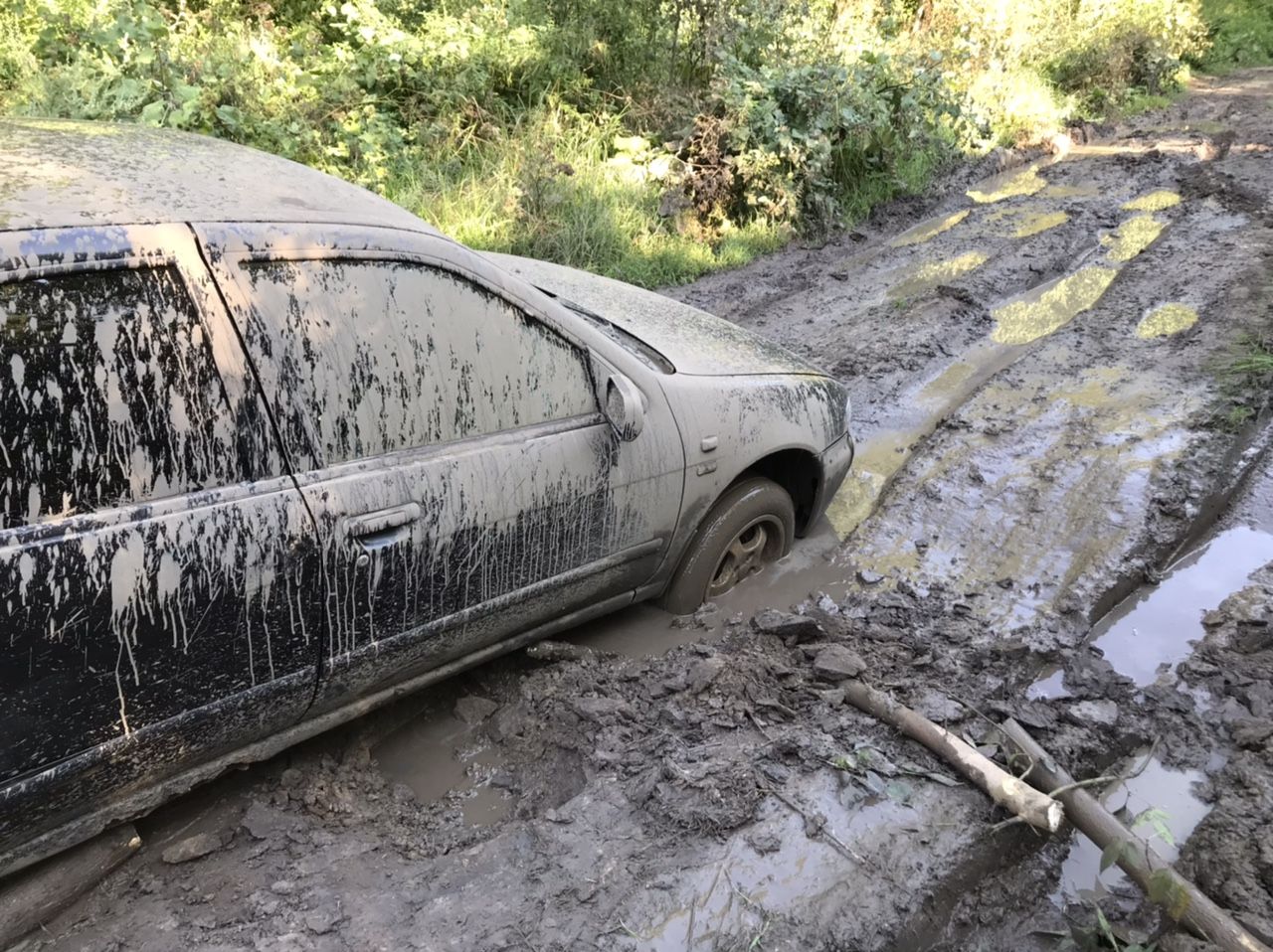 Nissan Almera: фото владельца