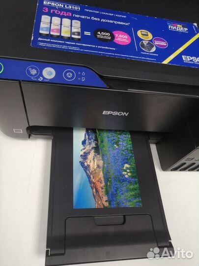 Цветной мфу Epson L3101. Встроенная снпч