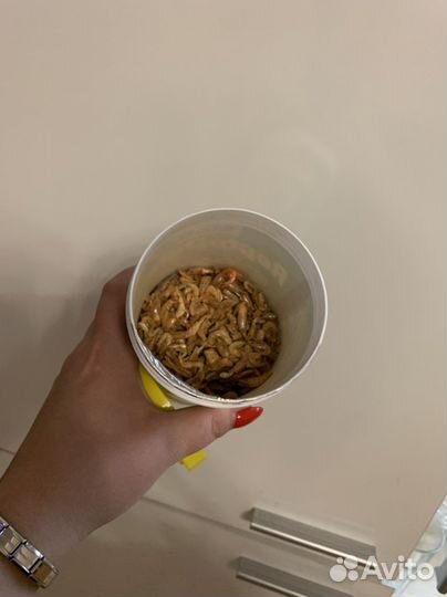 Корм для черепах Креветки