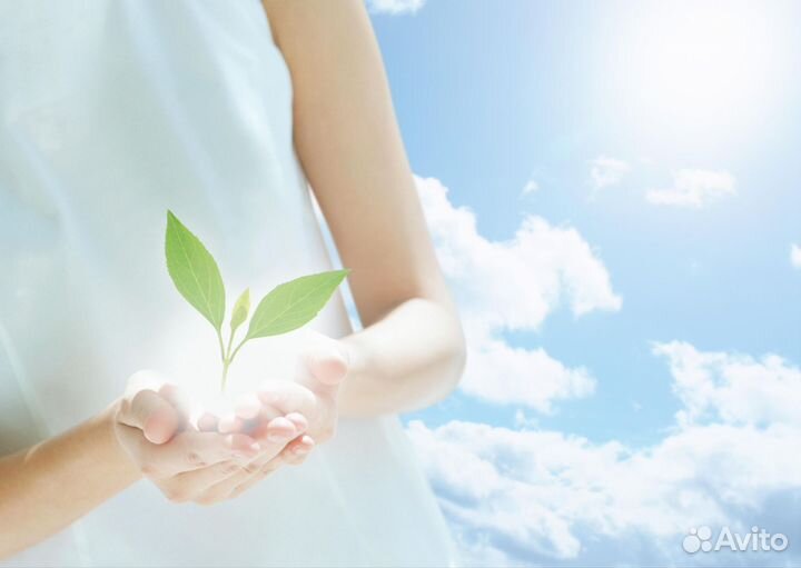 Уборка квартир, мойка окон