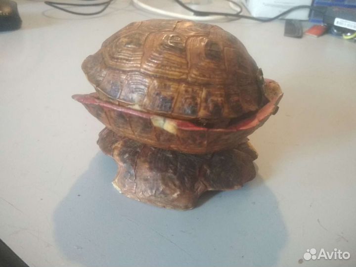 Пепельница из панциря черепахи