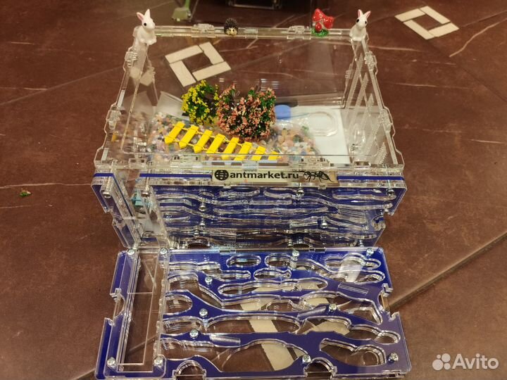 Новый муравейник, комплект