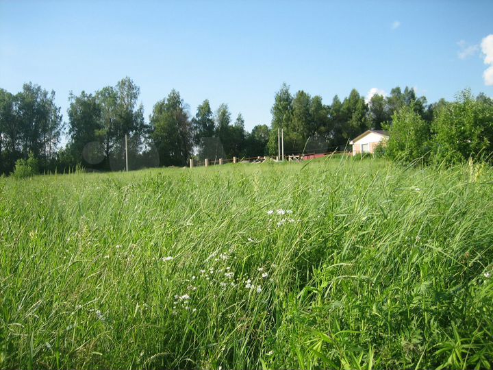 Участок 10 сот. (СНТ, ДНП)