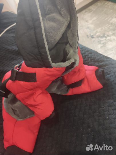 Одежда для маленьких собак