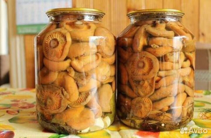 Соленые рыжики