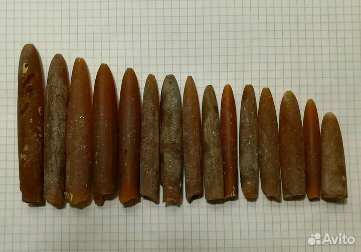Белемниты. Разного размера. В наличии около 10кг