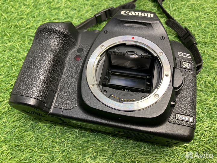 Canon EOS 5D Mark II (34.400 кадров)