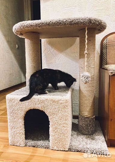 Домик для кошки, когтеточка/когтедралка