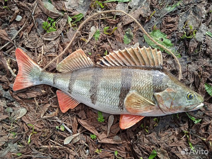 Керамическая рыба