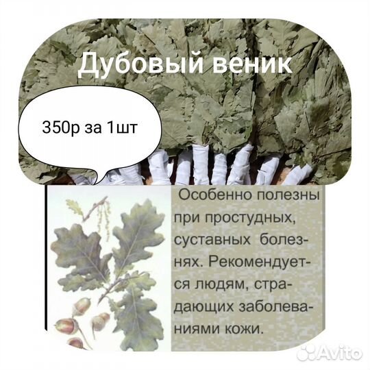 Веники для бани,березовые вен,дуб вен, запарки