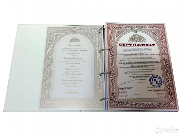 Родословная книга бежевая