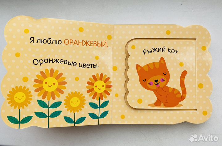 Книжка с окошками Цвета Clever