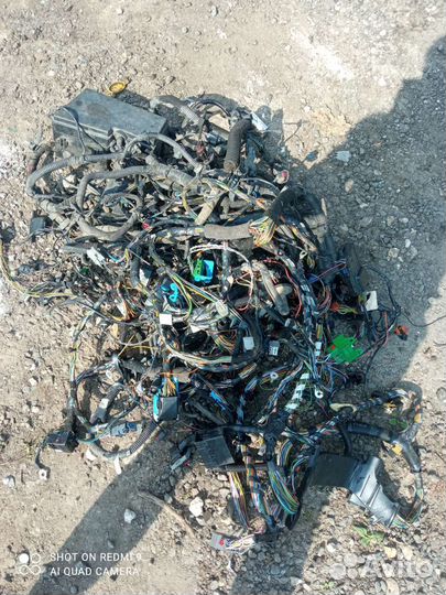 Ford focus 2 коса/проводка салонная