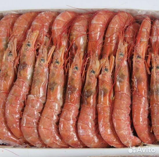 Лангустины свежемороженые с головой