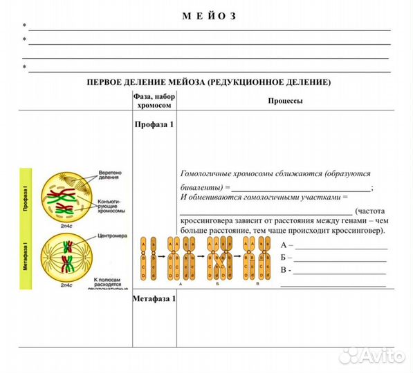 Репетитор по Биологии