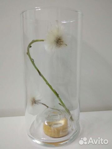 Декоративный стакан / подсвечник casa stockmann