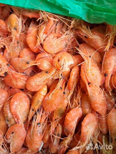 Азовская креветка