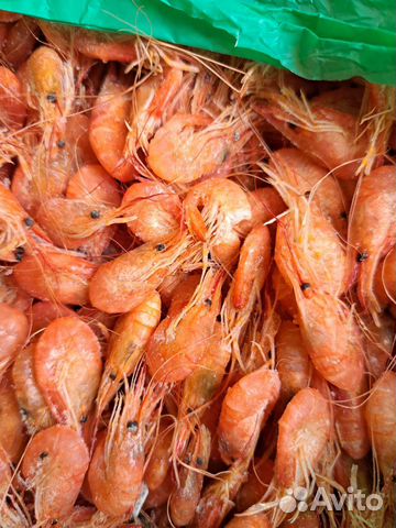 Азовская креветка