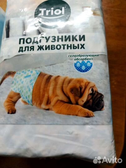 Одежда для маленьких собак
