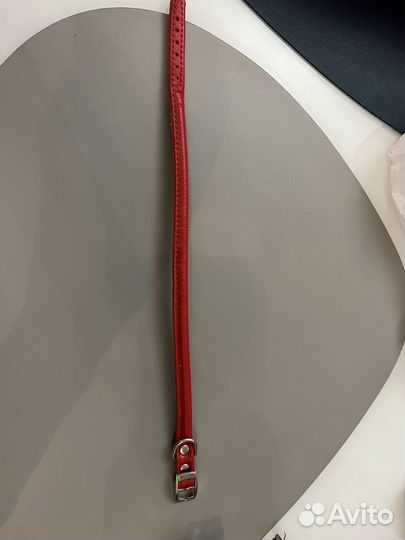 Ошейник для собак