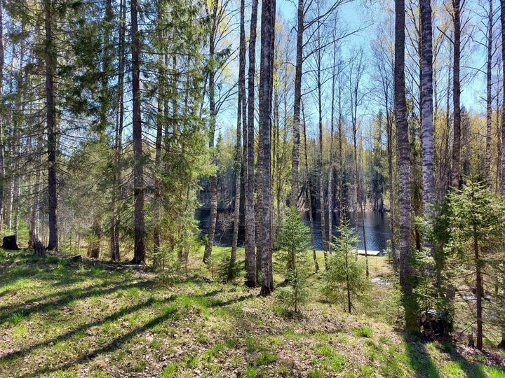 Дом 100 м² на участке 30 сот.