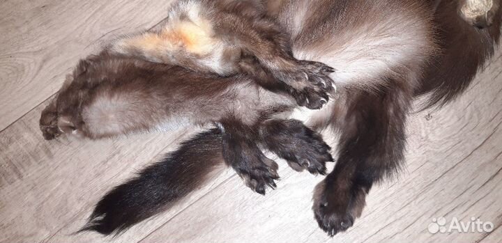 Шкурки выделанные (лиса, куница, сурок, енот)