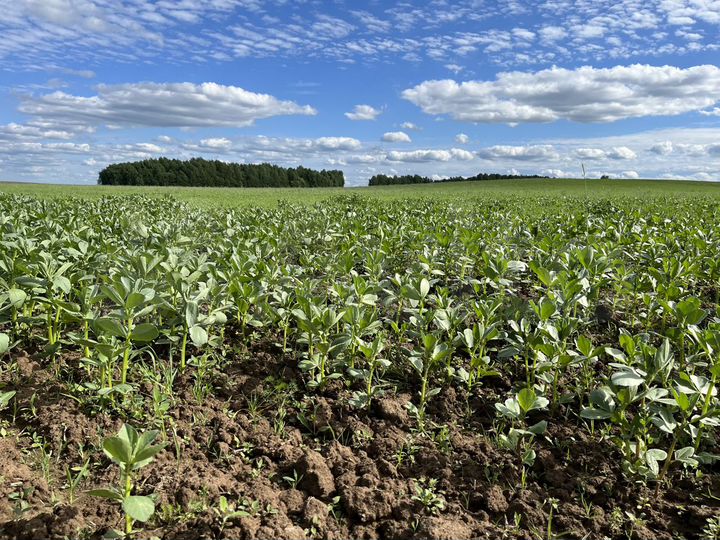 Участок 28,6 га (СНТ, ДНП)