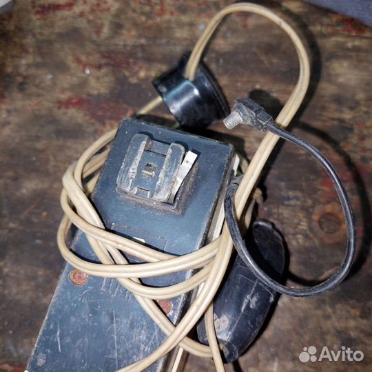 Фотовспышка чайка