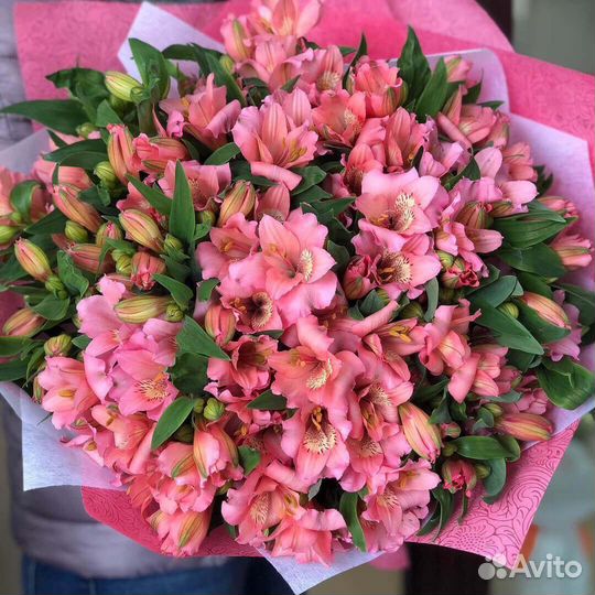 Альстромерия цветы букеты