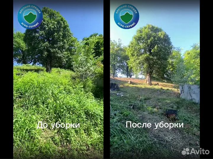 Расчистка участка