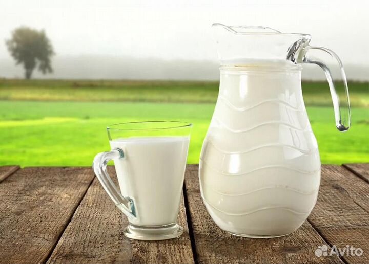 Молочная продукция