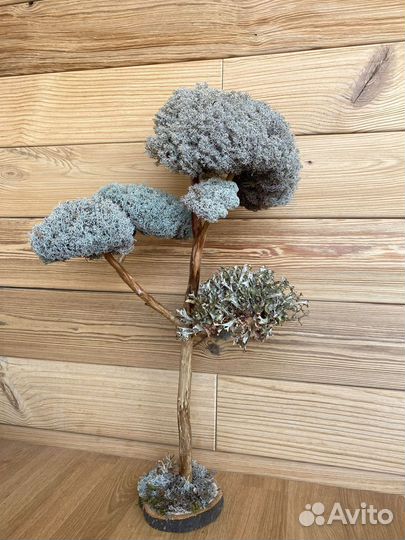 Дерево для подарка